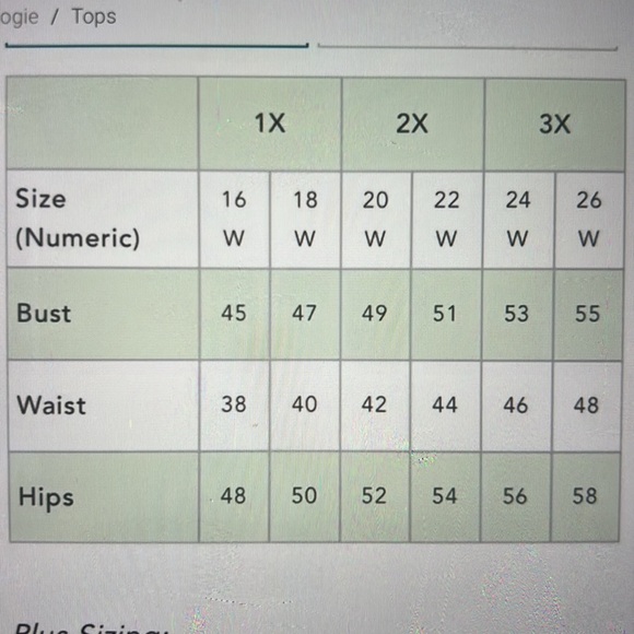 NWT Anthropologie Dolan Sheer Top, size 3x - Picture 11 of 11